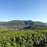 Mauritiushof Weingut Fj Gritsch