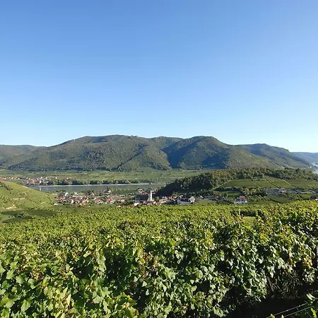 Mauritiushof Weingut Fj Gritsch