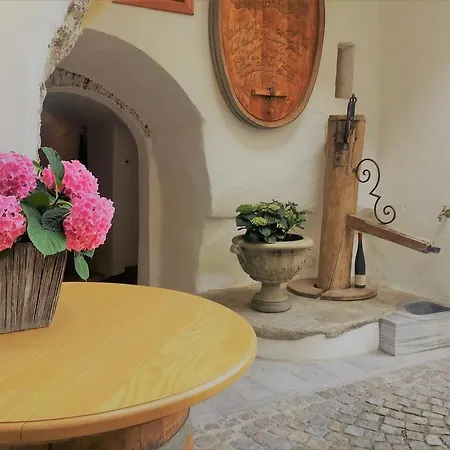 Lägenhet Mauritiushof Weingut Fj Gritsch Spitz an der Donau