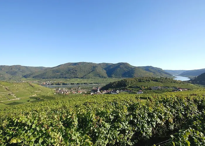 Mauritiushof Weingut Fj Gritsch